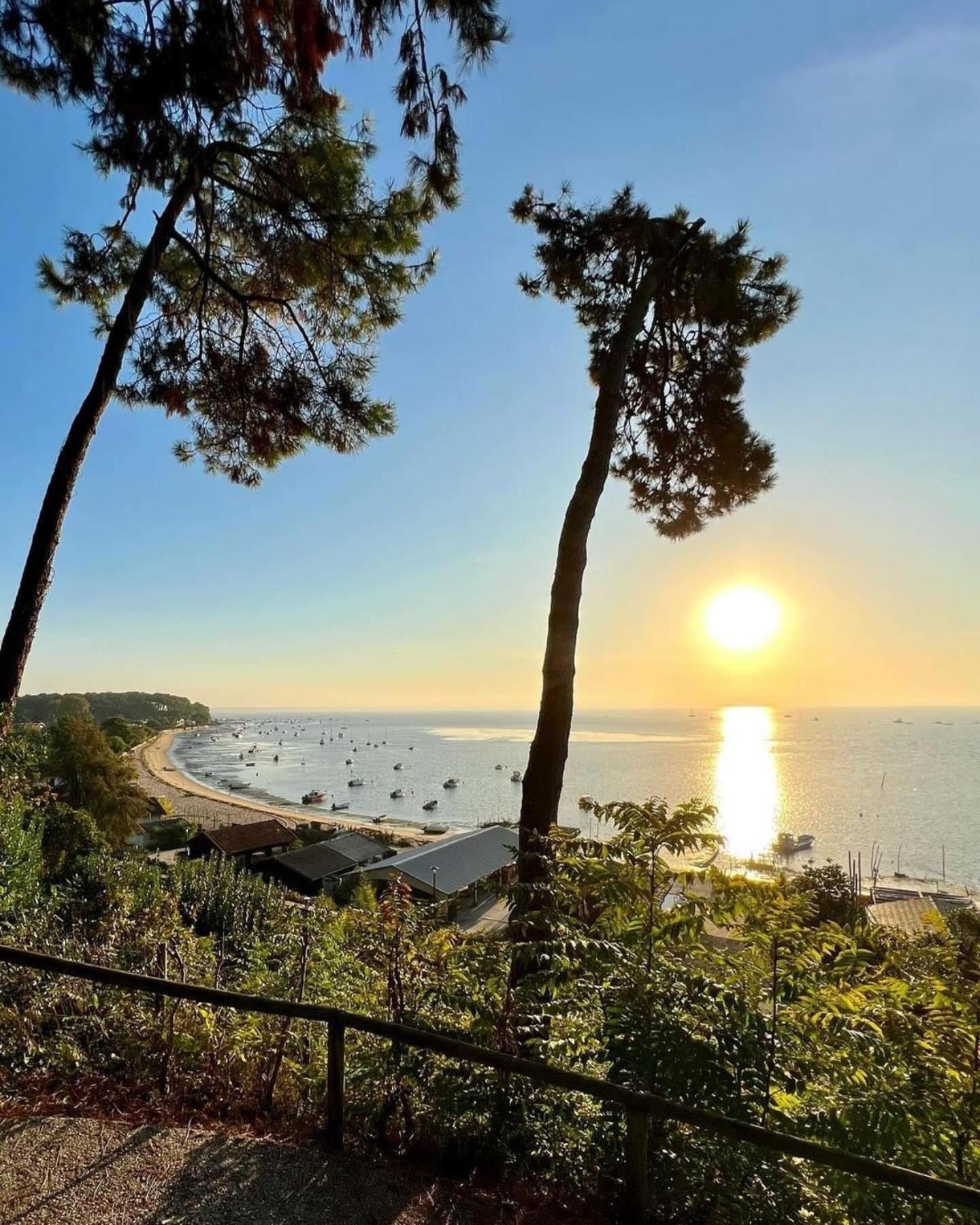 Cocon Entre Presqu'Ile Du Cap Ferret Et Plages Oceanes - Terrasse - 1 Velo Gratuit Ares Exteriör bild
