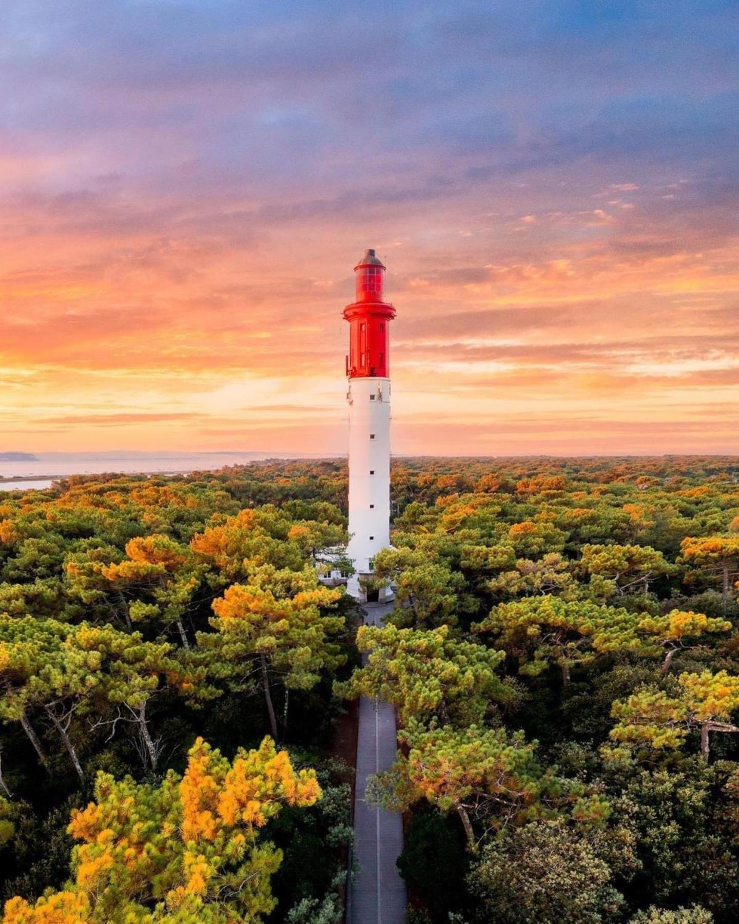 Cocon Entre Presqu'Ile Du Cap Ferret Et Plages Oceanes - Terrasse - 1 Velo Gratuit Ares Exteriör bild
