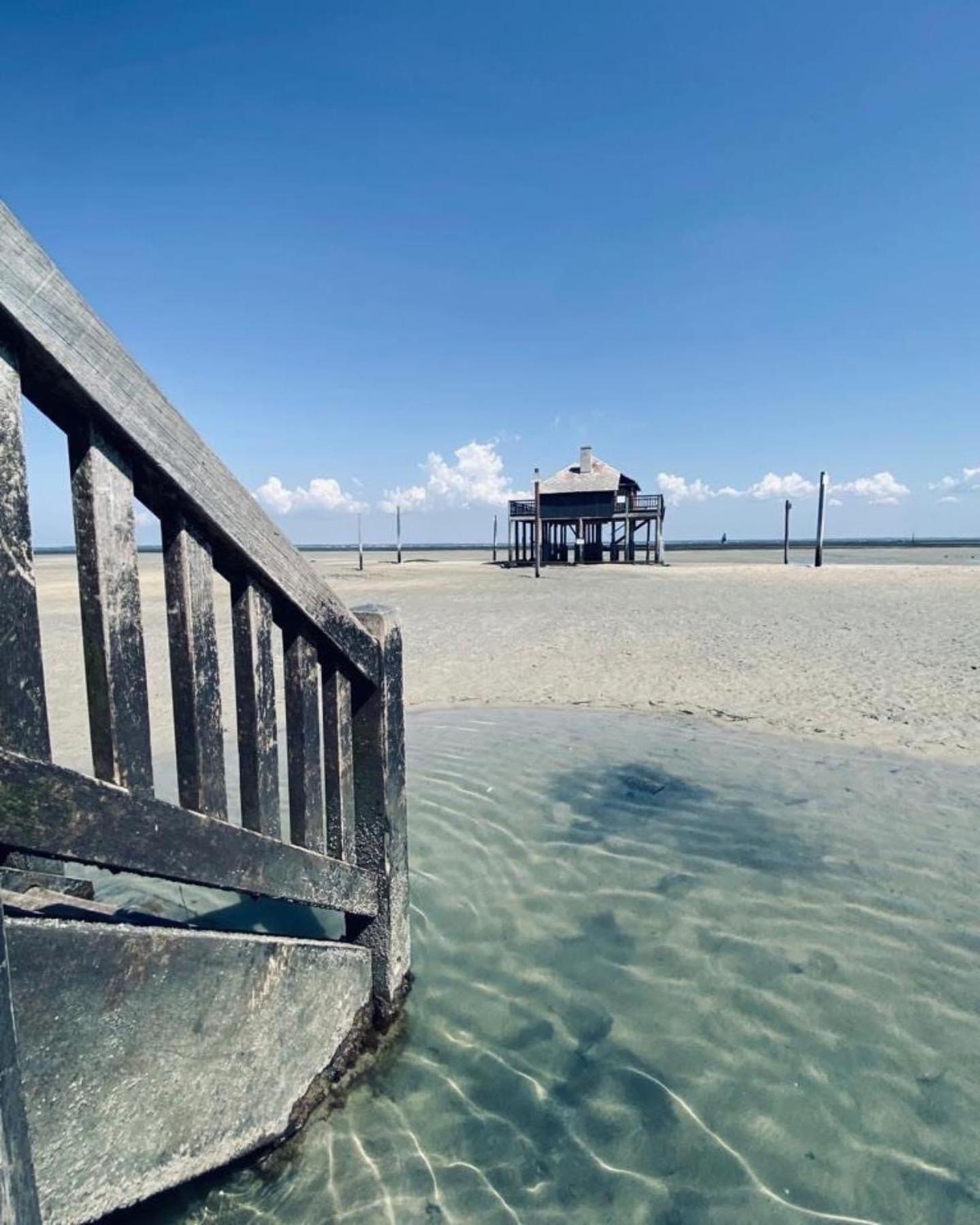 Cocon Entre Presqu'Ile Du Cap Ferret Et Plages Oceanes - Terrasse - 1 Velo Gratuit Ares Exteriör bild