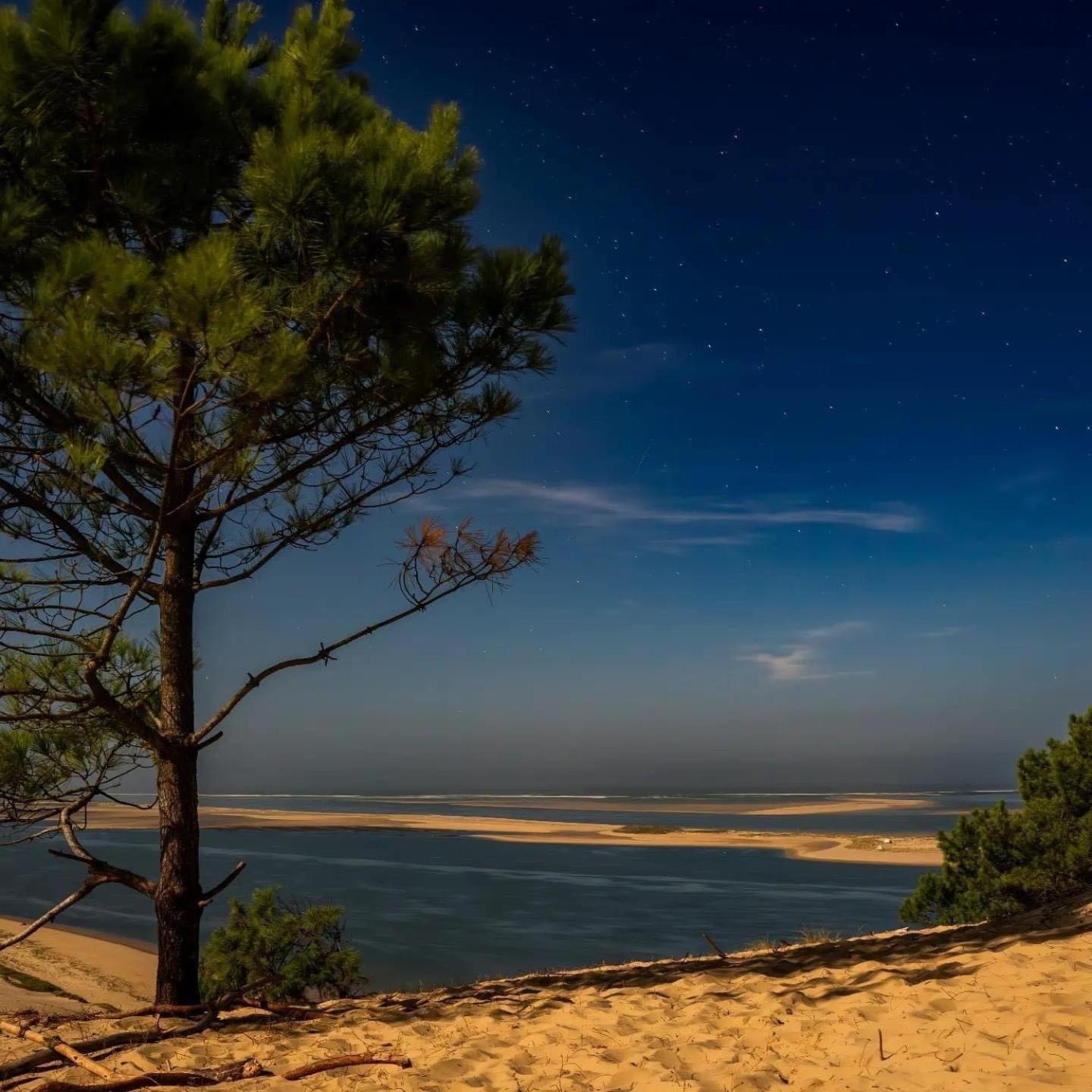 Cocon Entre Presqu'Ile Du Cap Ferret Et Plages Oceanes - Terrasse - 1 Velo Gratuit Ares Exteriör bild